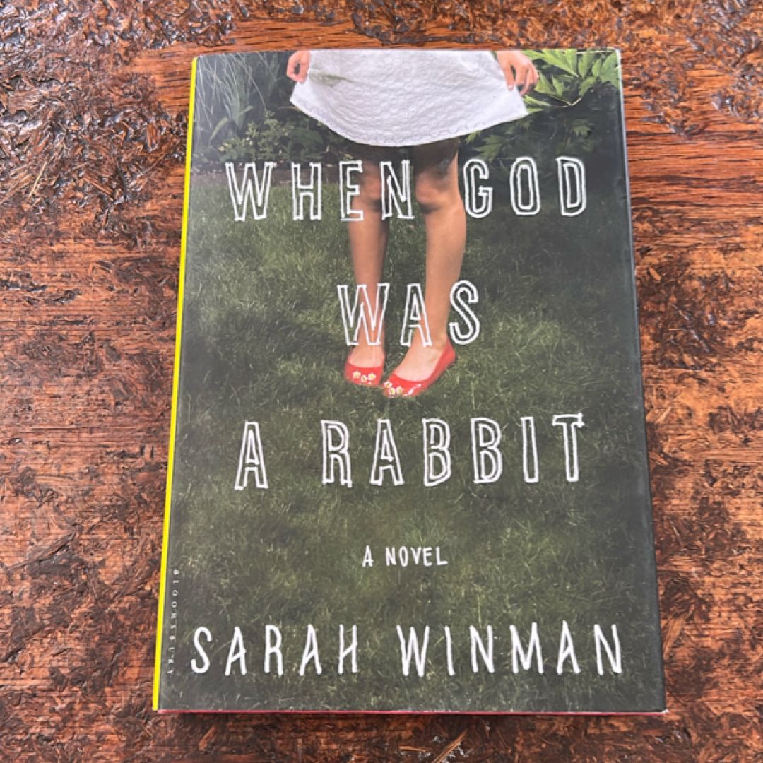 When God Was a Rabbit