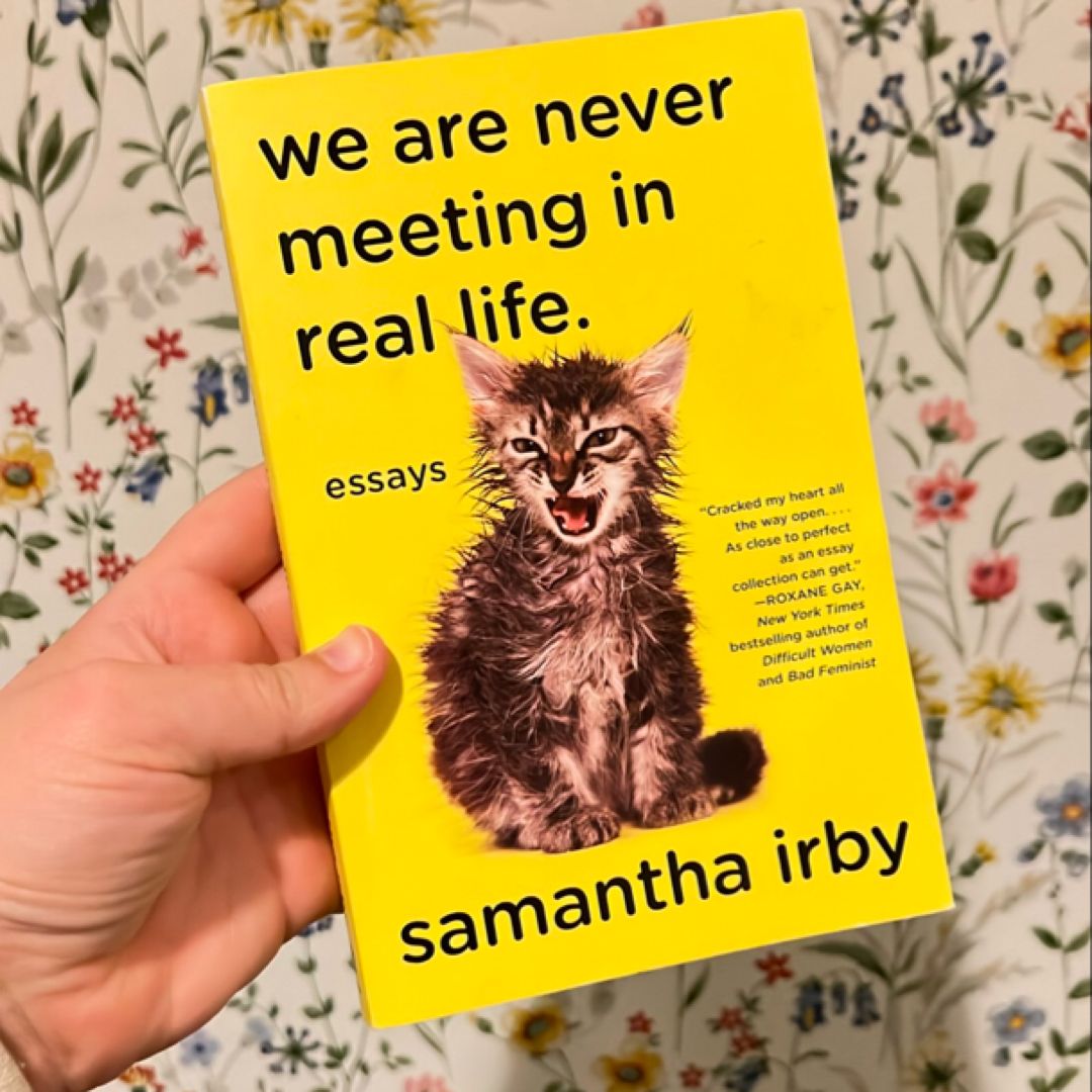 We Are Never Meeting in Real Life