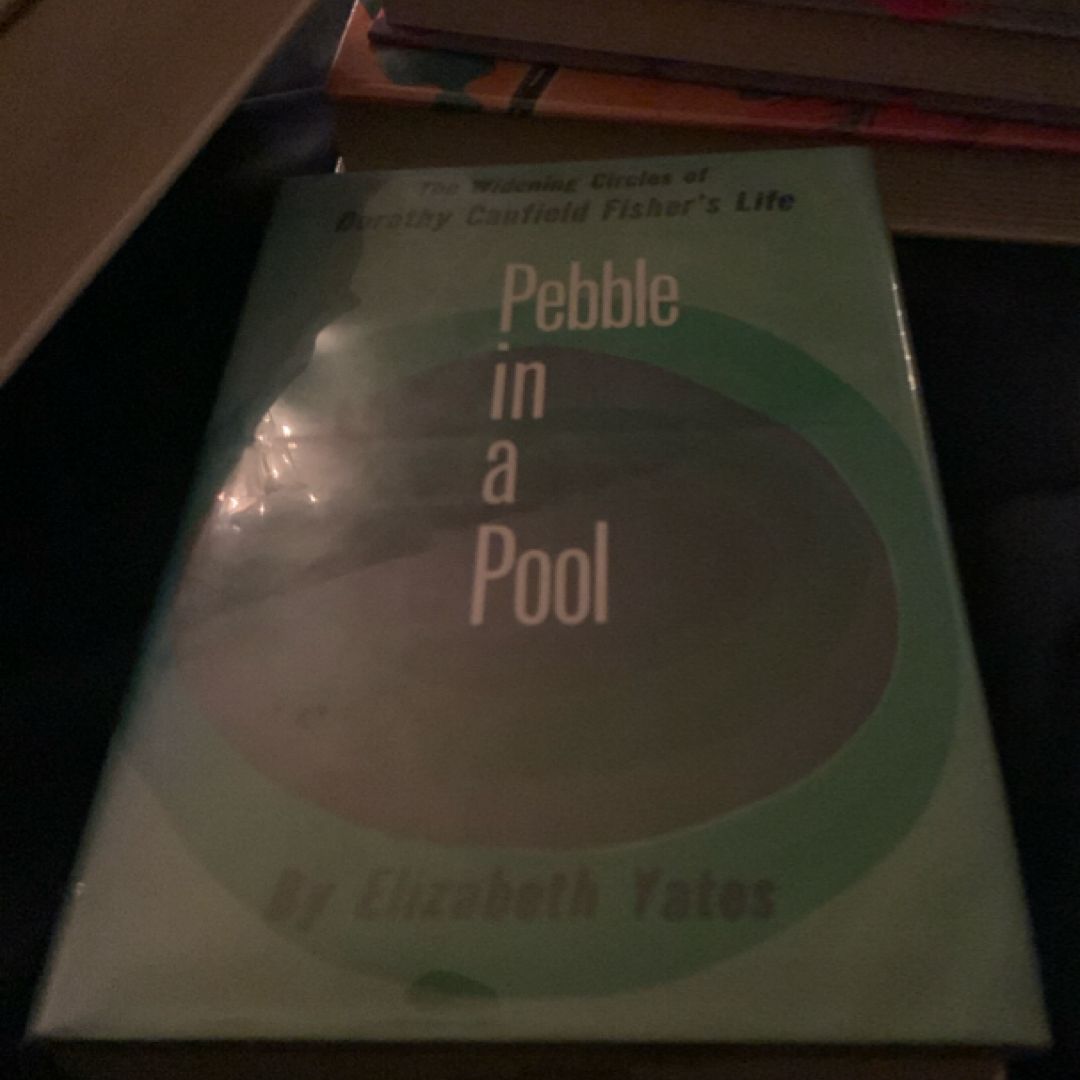 Pebble in a Pool