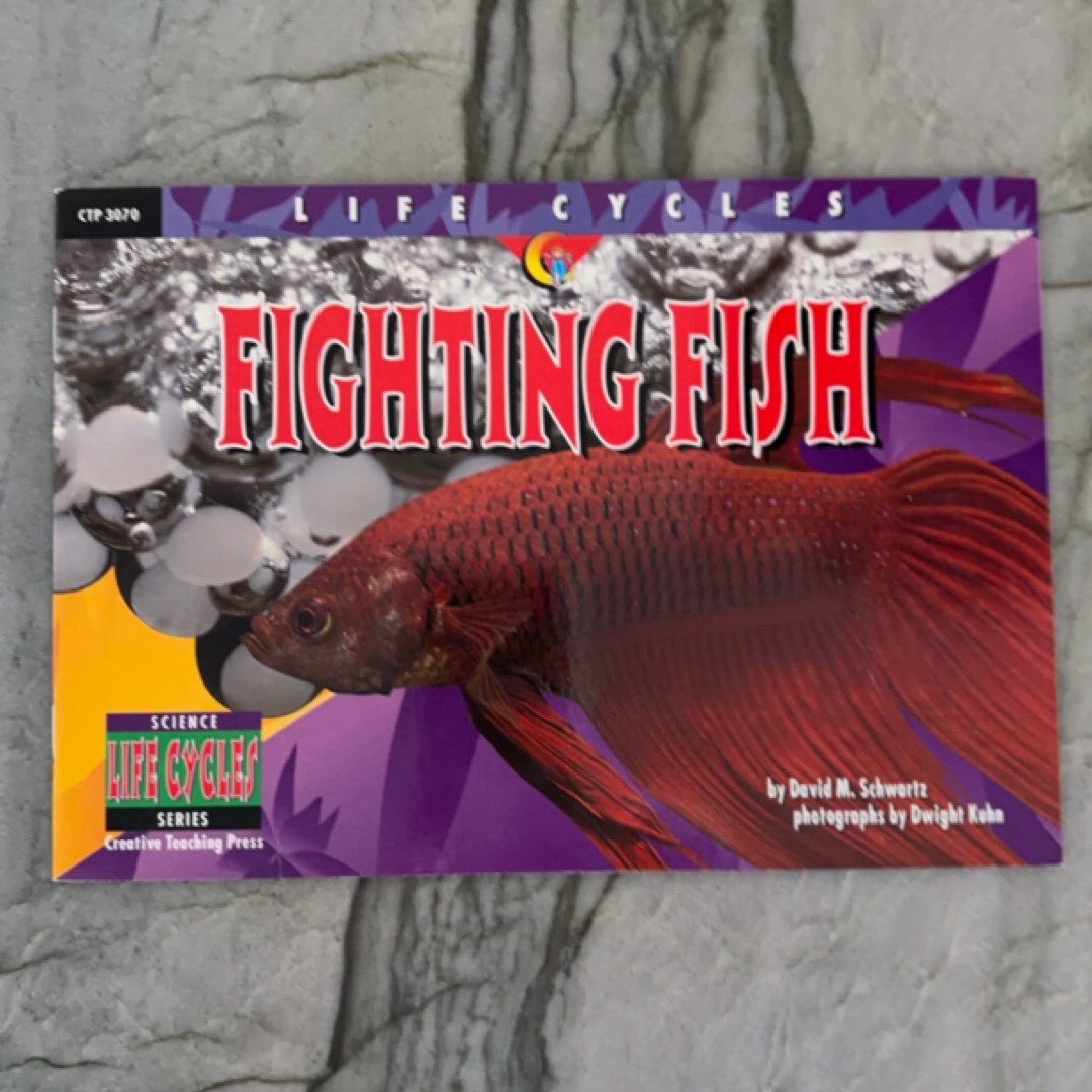 Fighting Fish