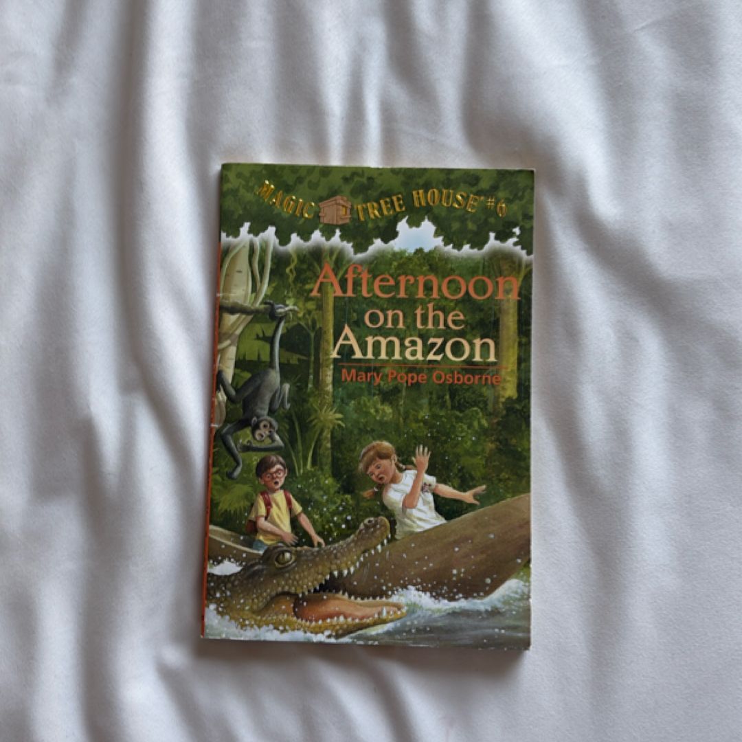 Afternoon on the Amazon