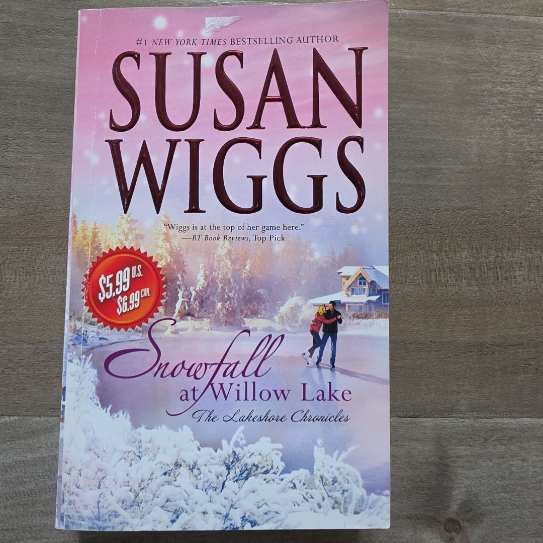 Snowfall at Willow Lake