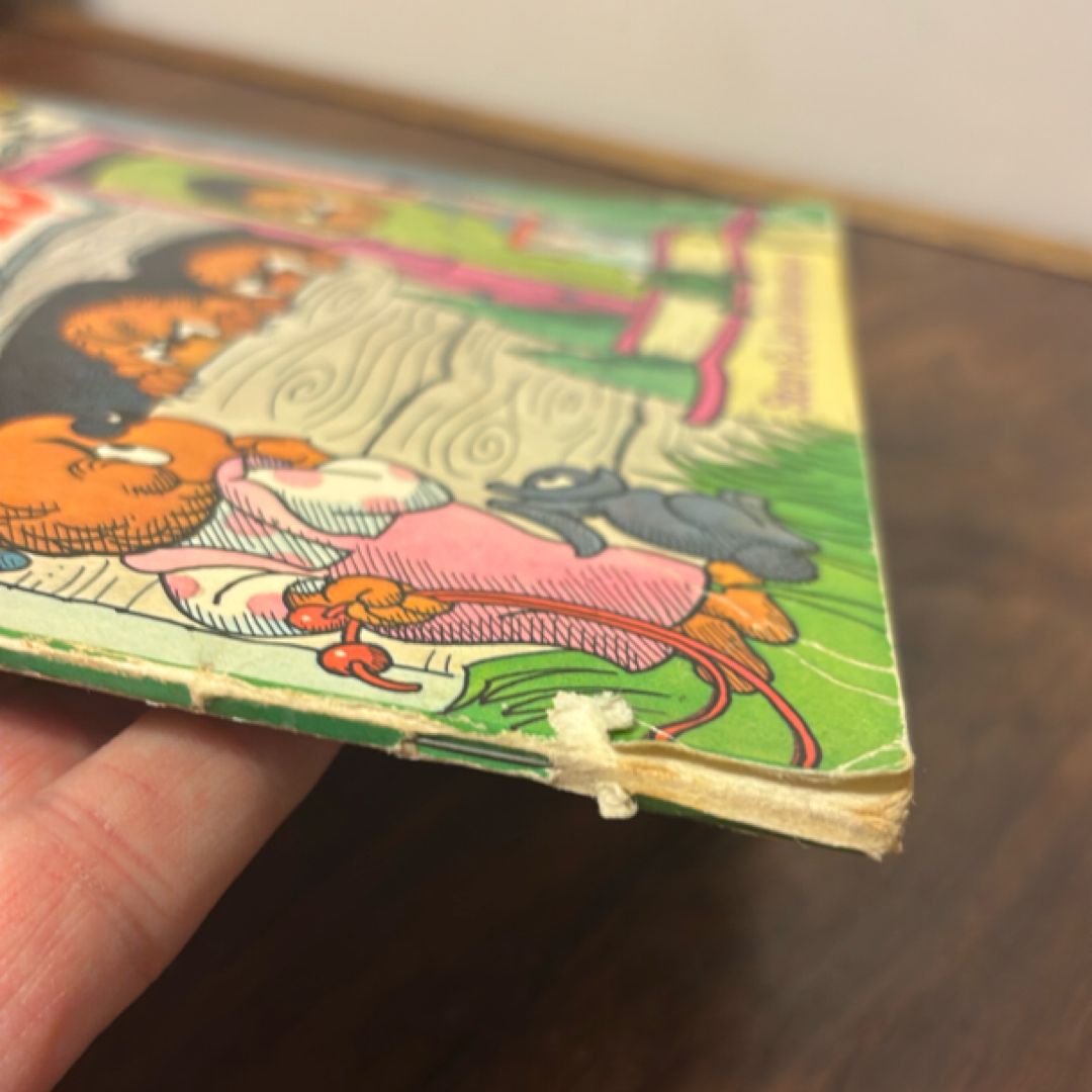 The Berenstain Bears No Girls Allowed