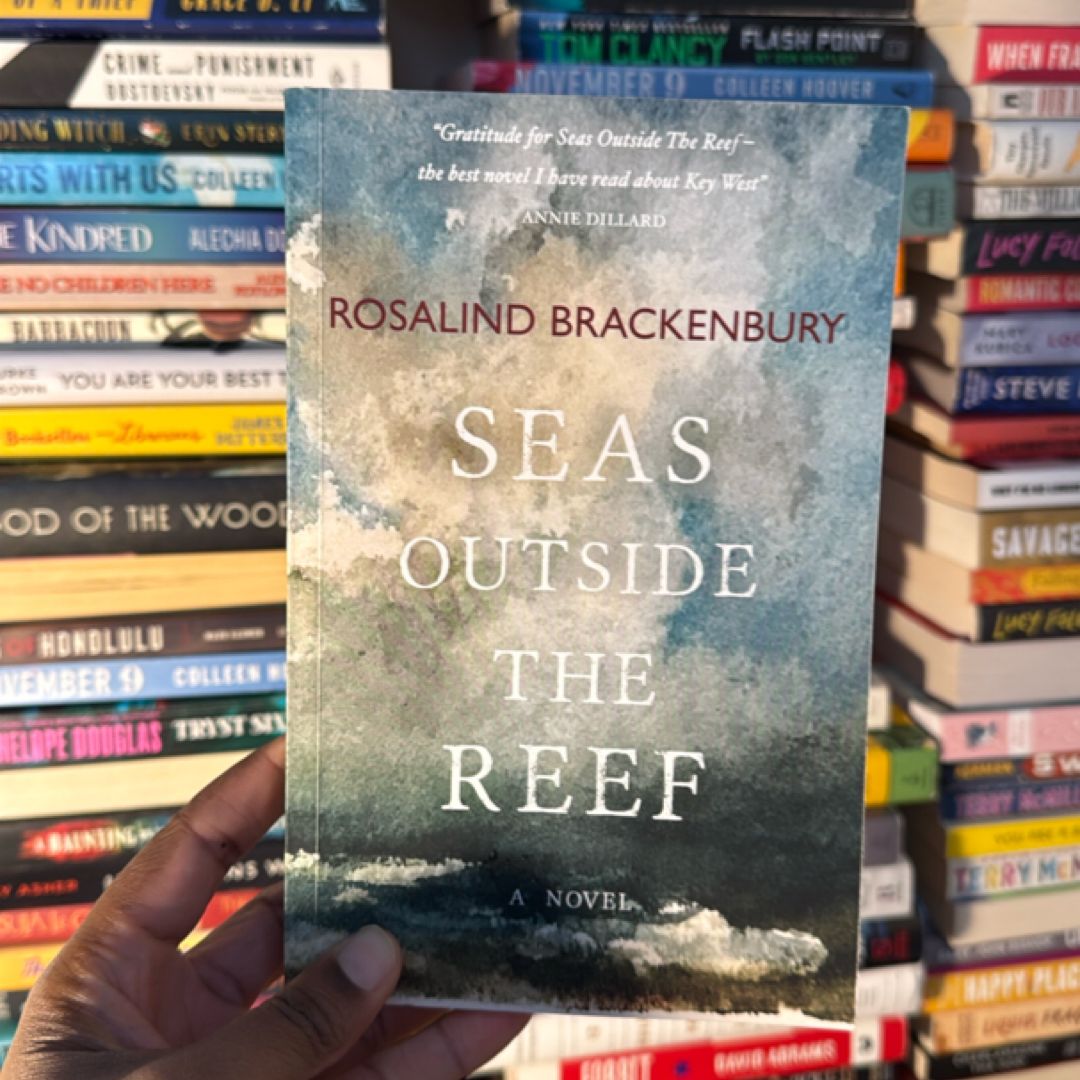 Seas Outside The Reef 