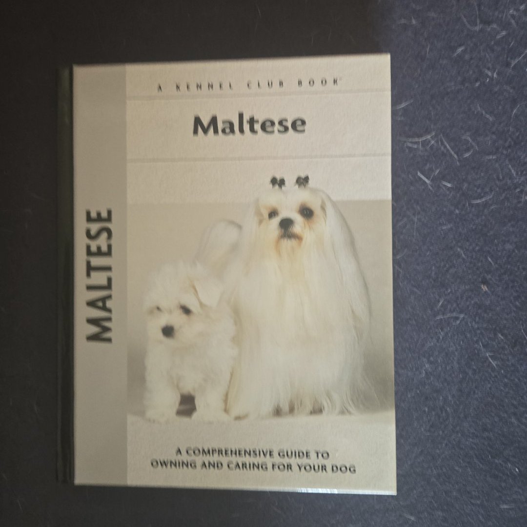 Maltese