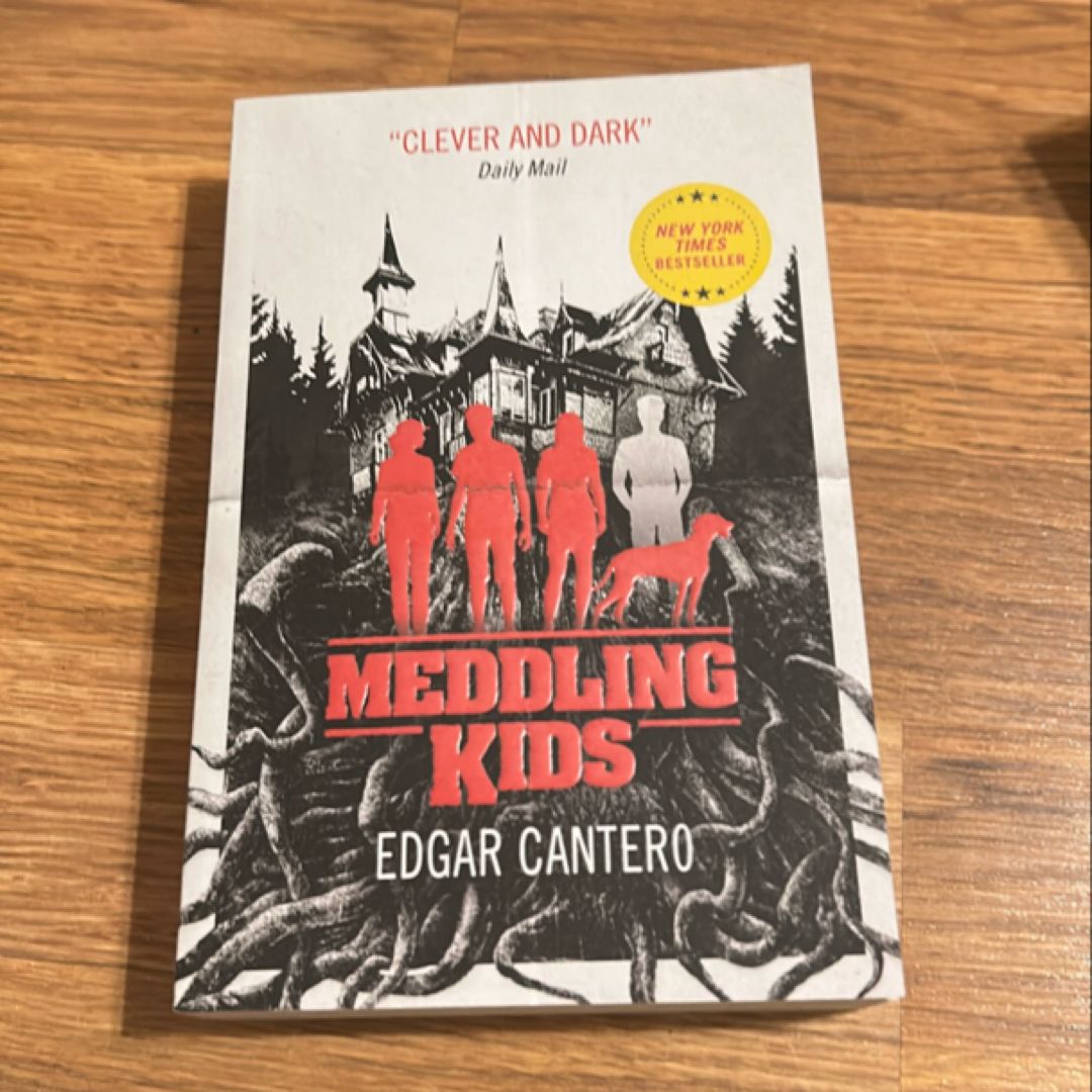 Meddling Kids