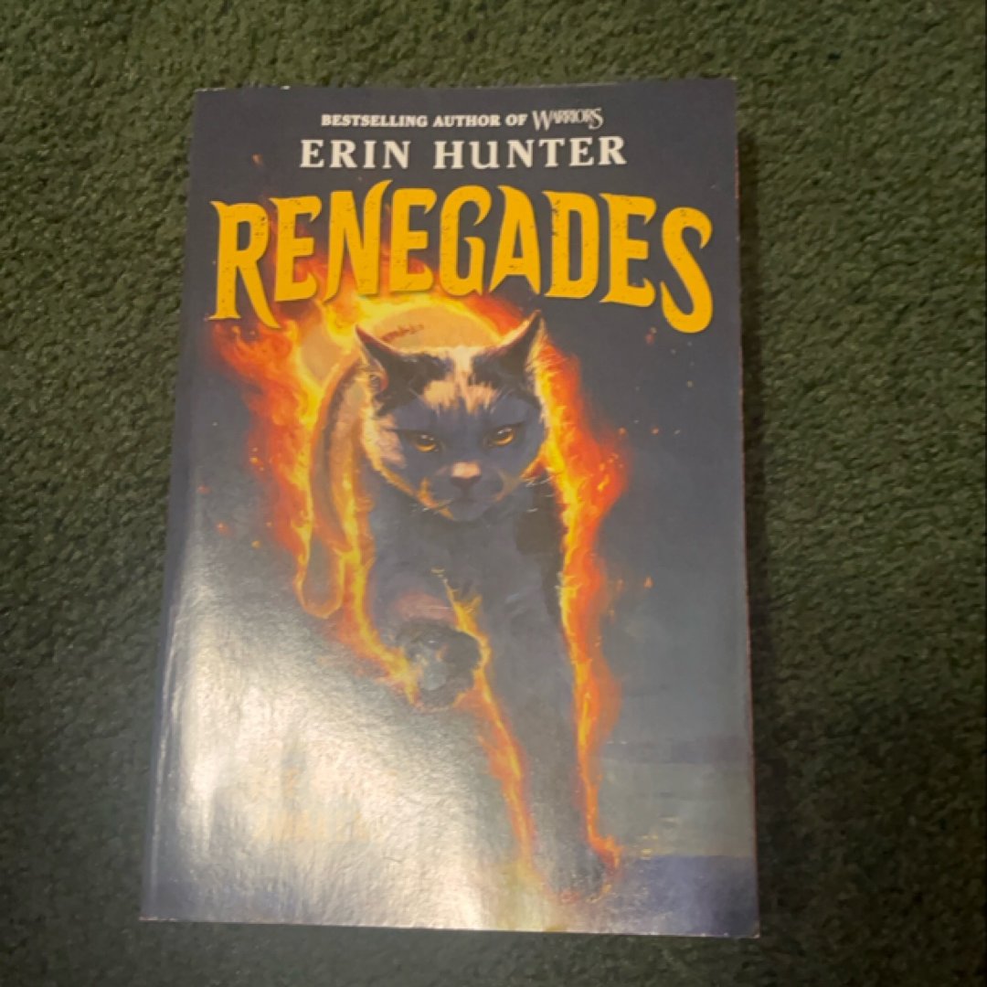 Renegades #1: the Magic Awakens