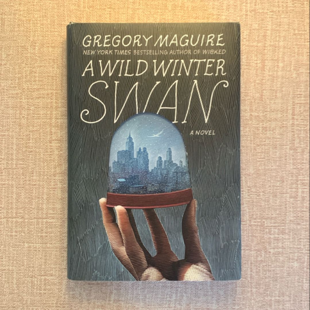 A Wild Winter Swan