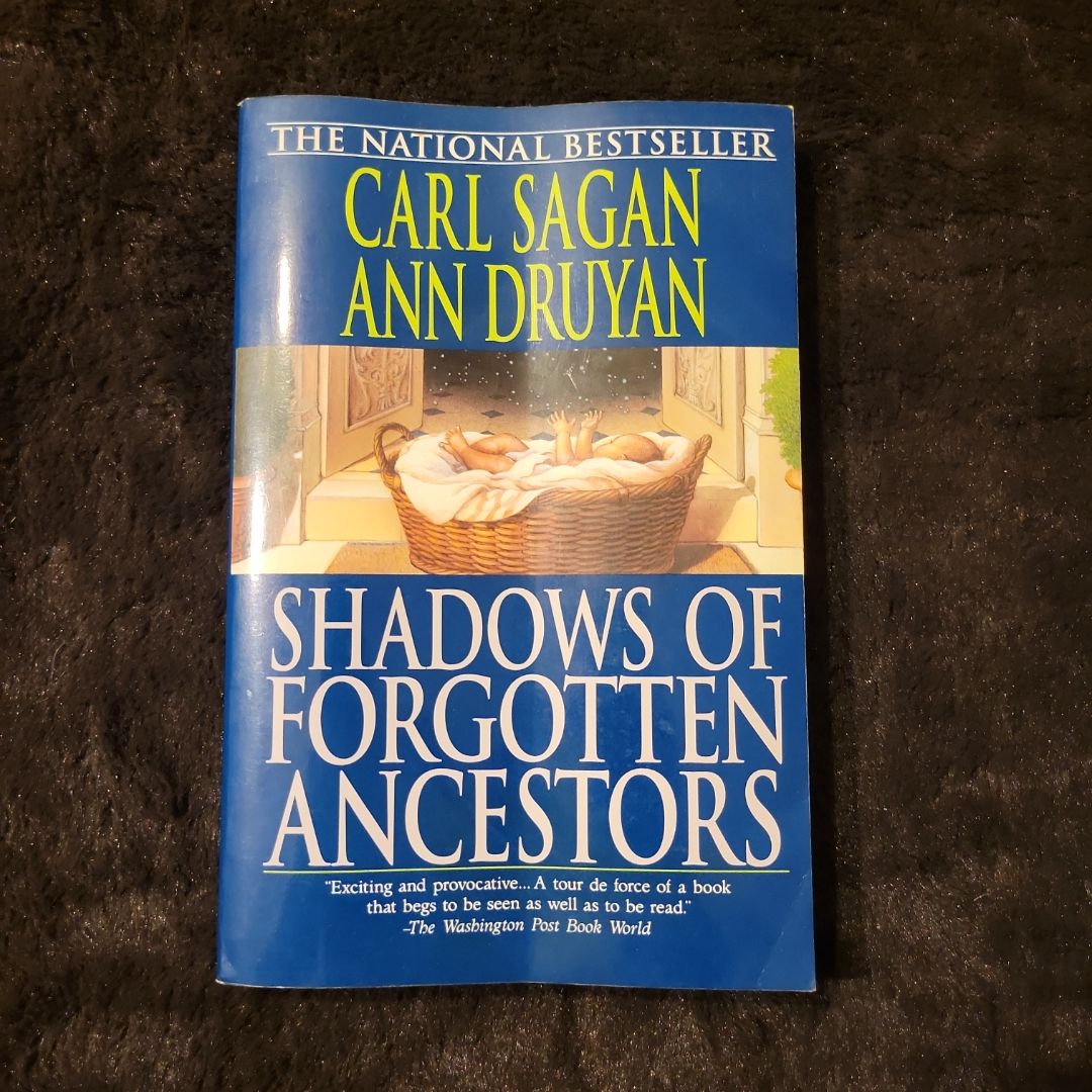 Shadows of Forgotten Ancestors
