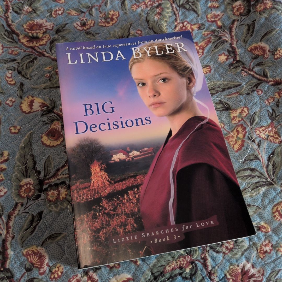 Big Decisions: Lizzie Searches for Love Book 3