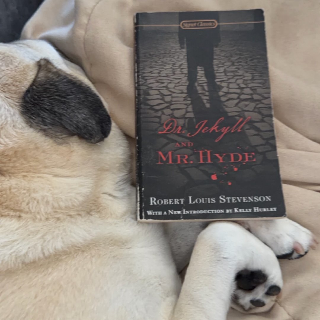 The Strange Case of Dr. Jekyll and Mr Hyde