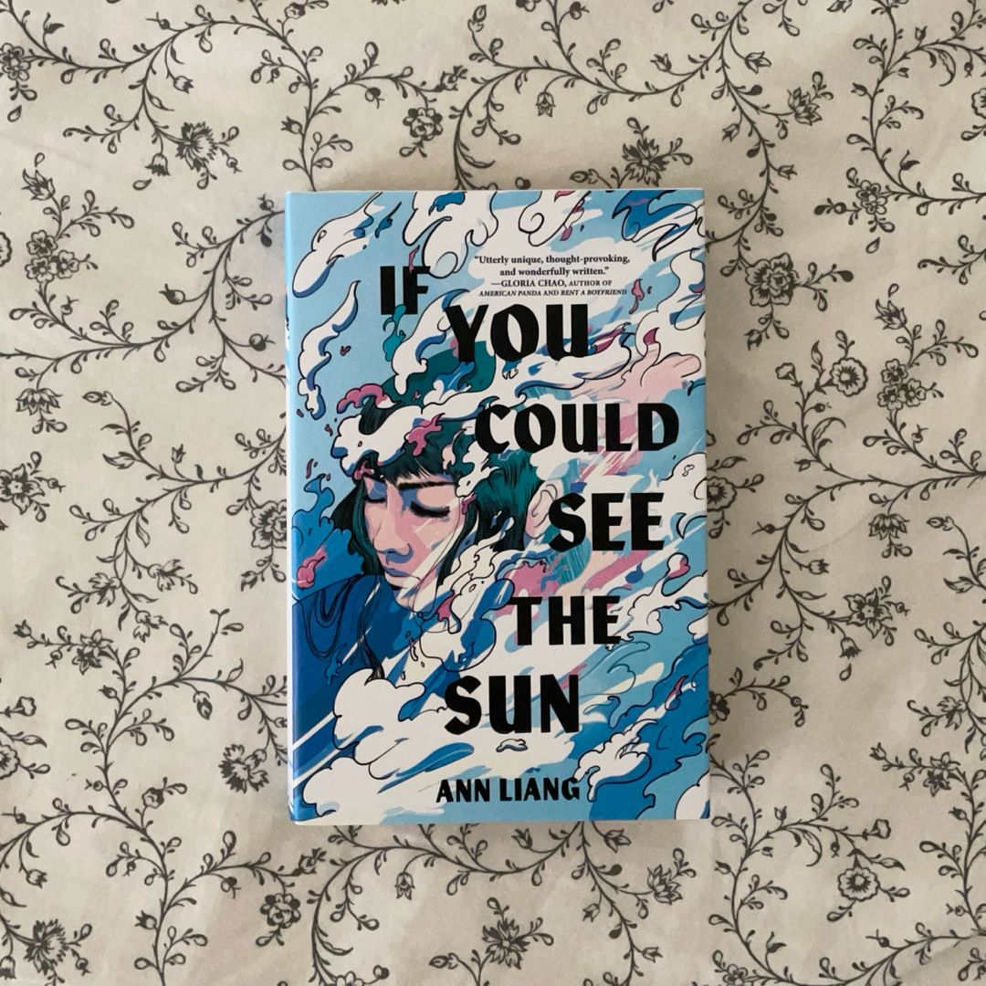 If You Could See the Sun