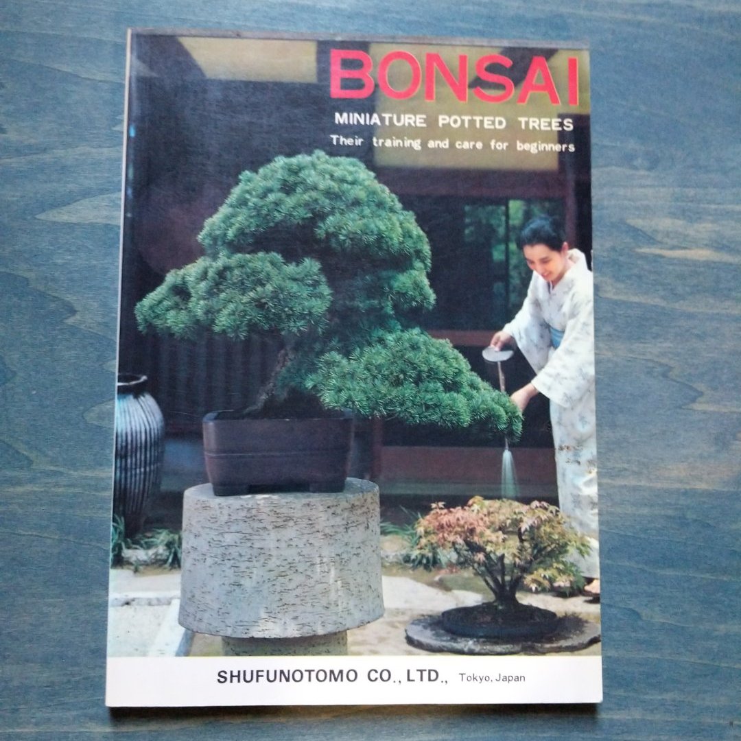 Bonsai: Miniature Potted Trees
