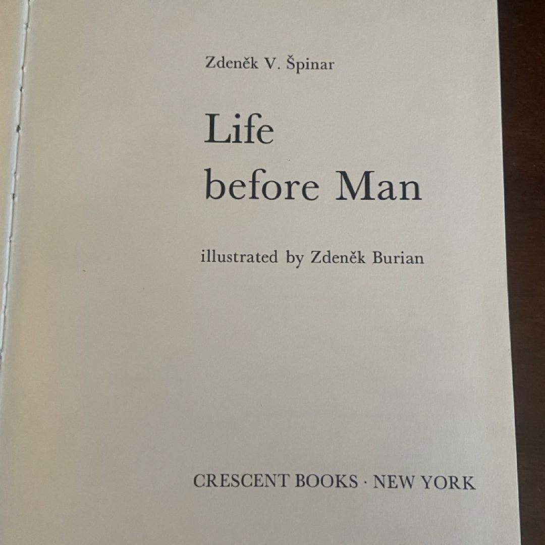 Life Before Man