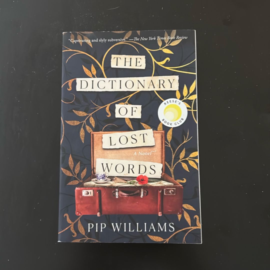 The Dictionary of Lost Words
