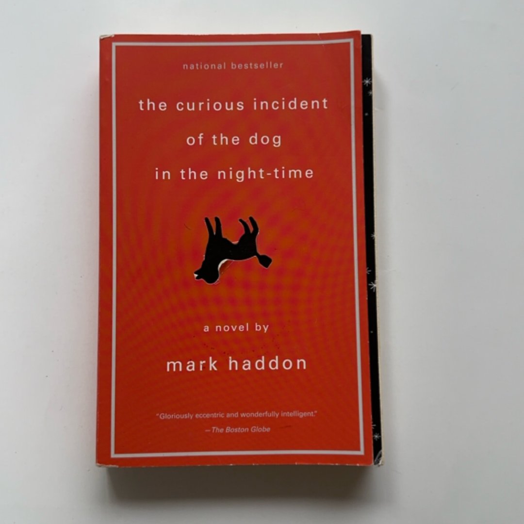 The Curious Incident of the Dog in the Night-Time