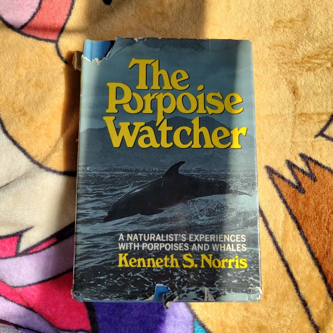 The Porpoise Watcher