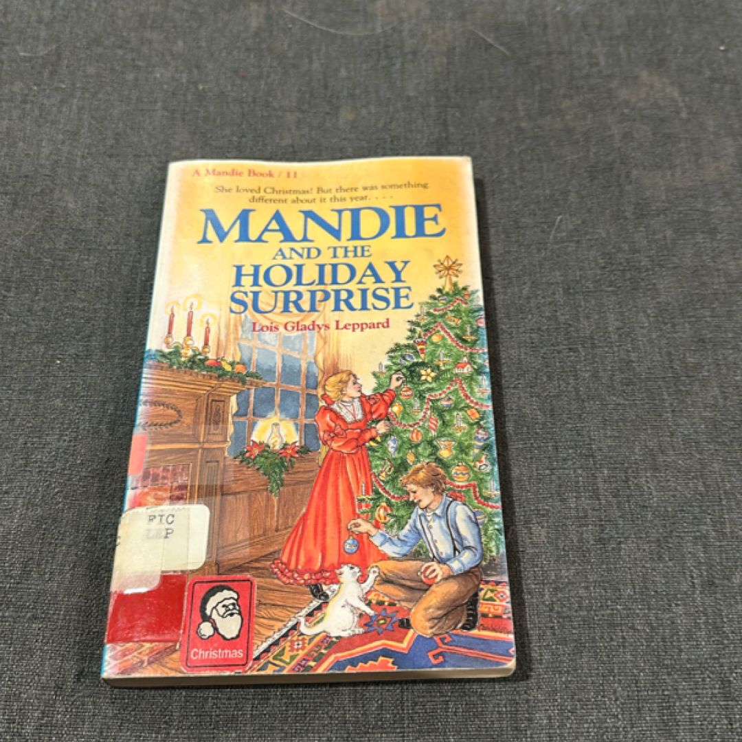 Mandie and the Holiday Surprise