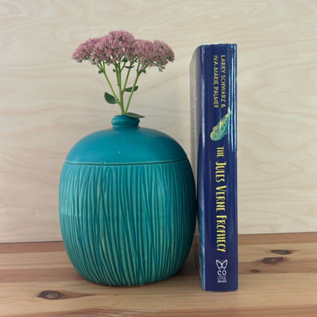 The Jules Verne Prophecy