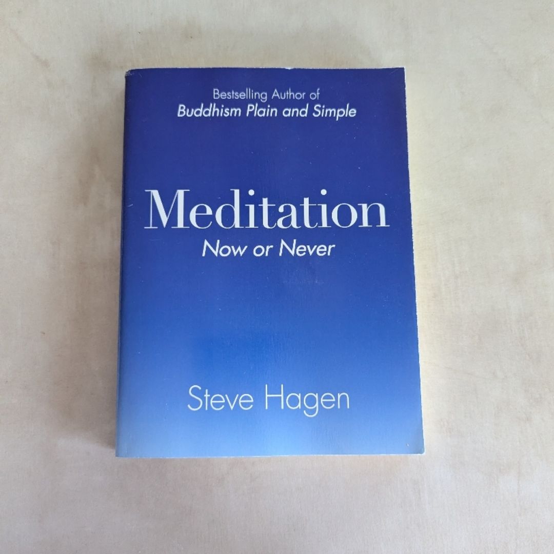 Meditation Now or Never