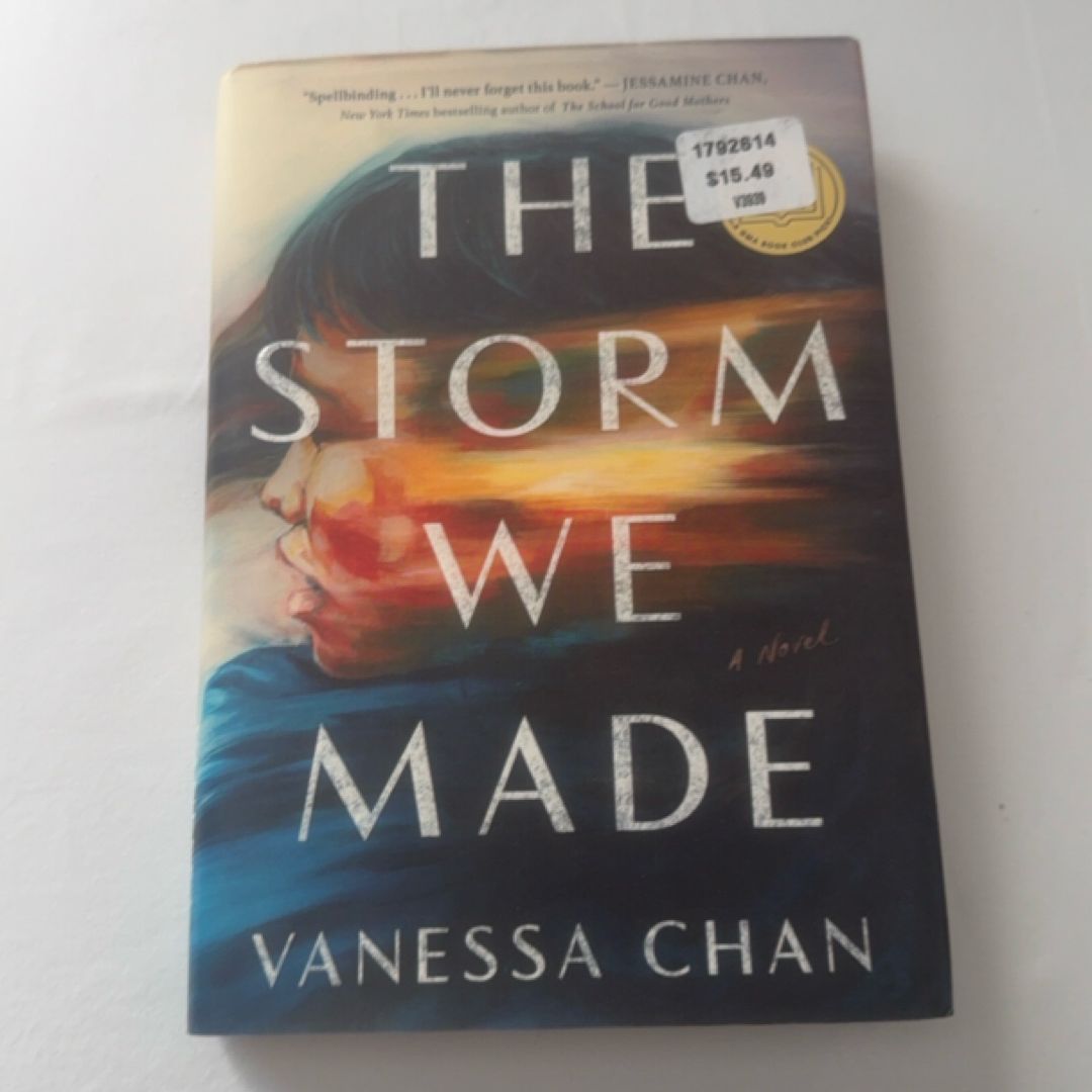 The Storm We Made