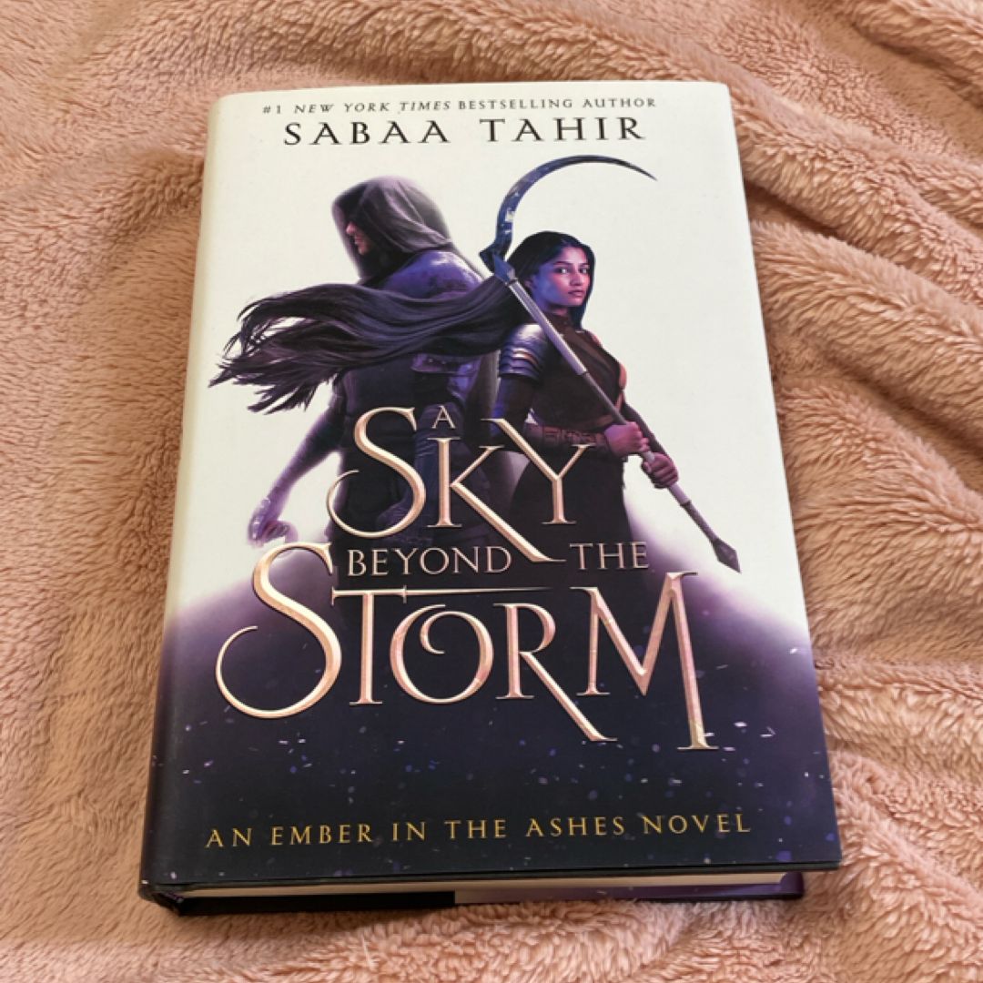 A Sky Beyond the Storm
