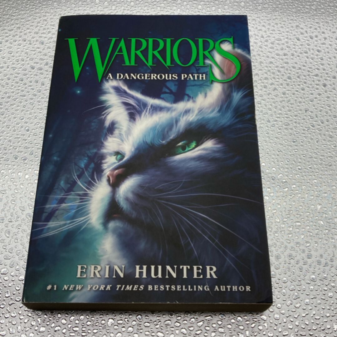 Warriors: Changing Skies #2: Hidden Moon