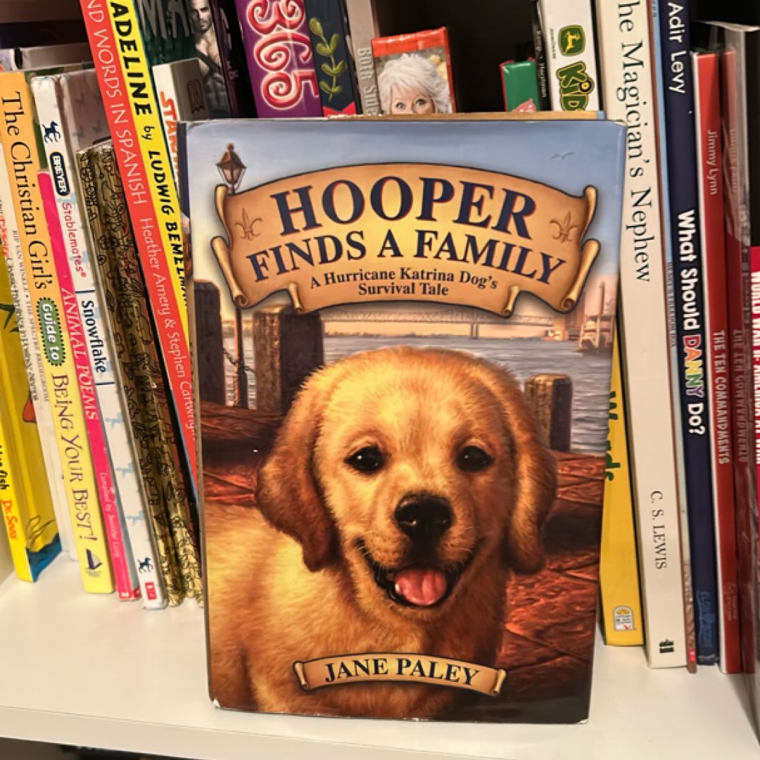 Hooper Finds a Family