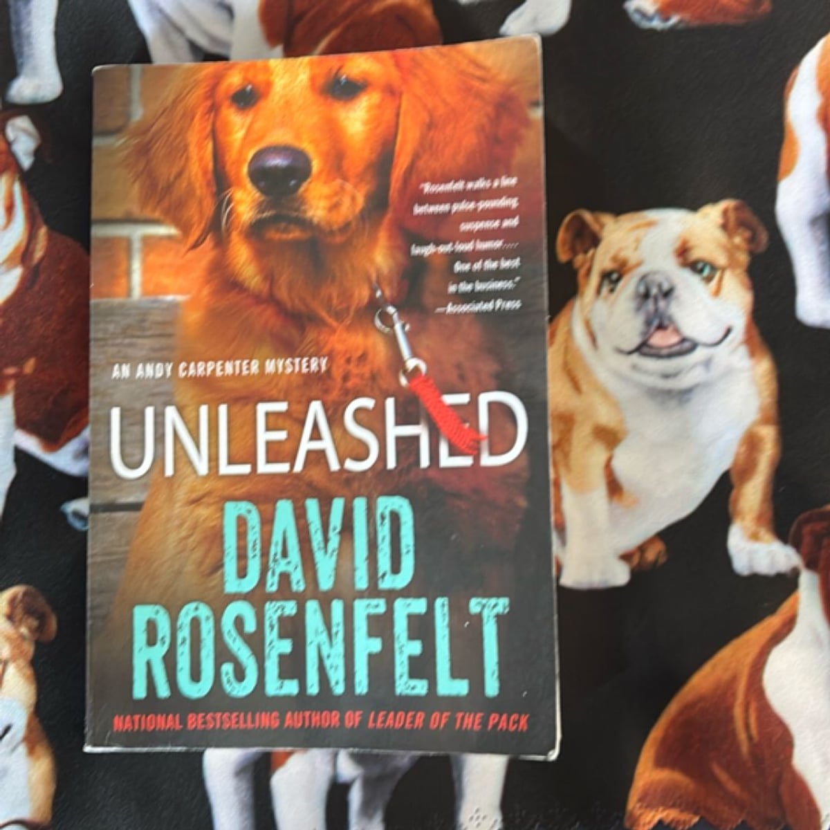 Unleashed by David Rosenfelt, Paperback | Pangobooks