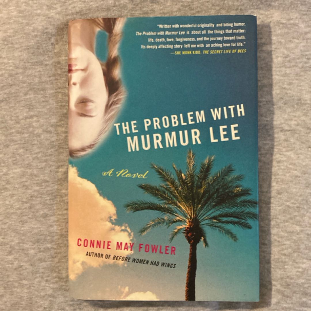 The Problem with Murmur Lee