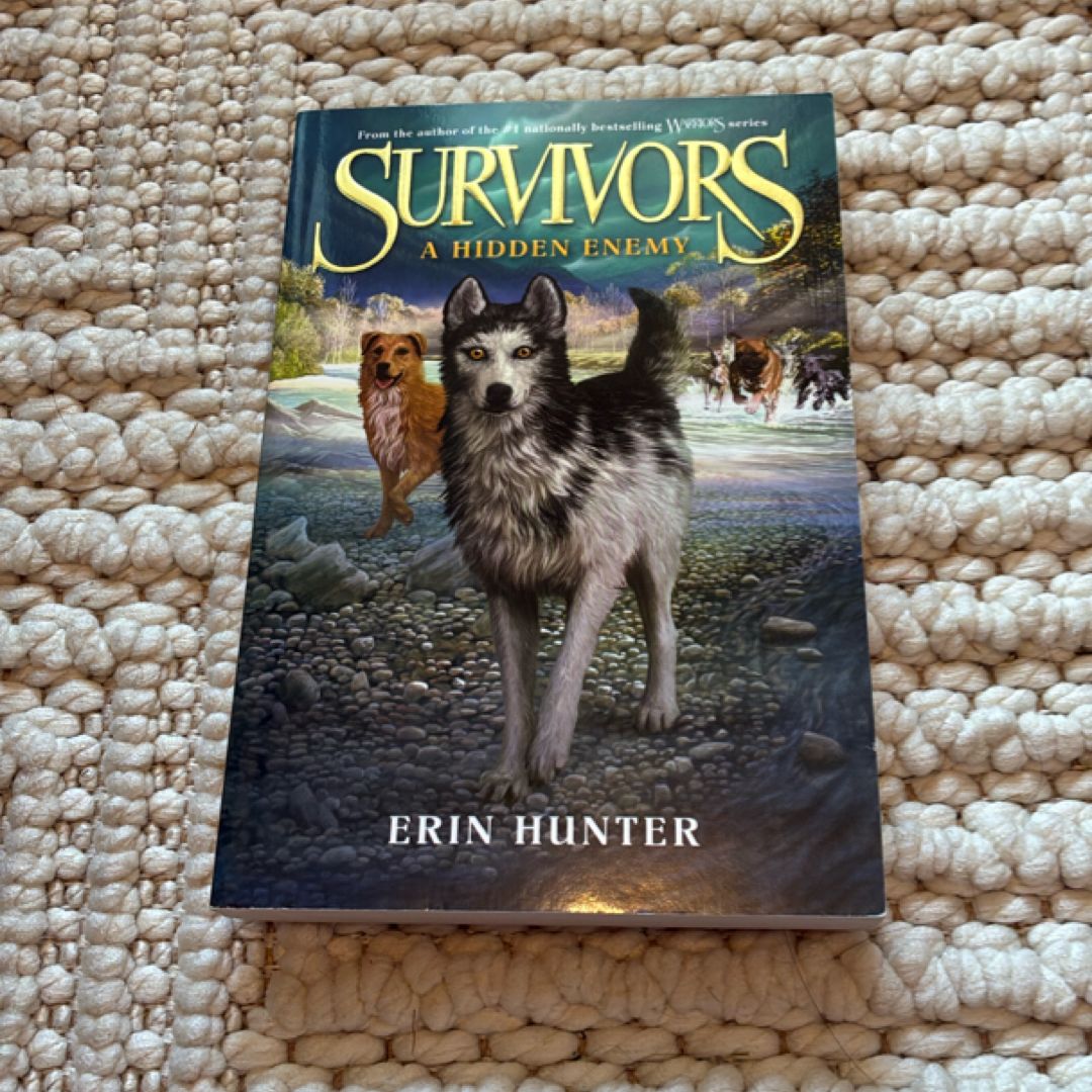 Survivors #2: a Hidden Enemy
