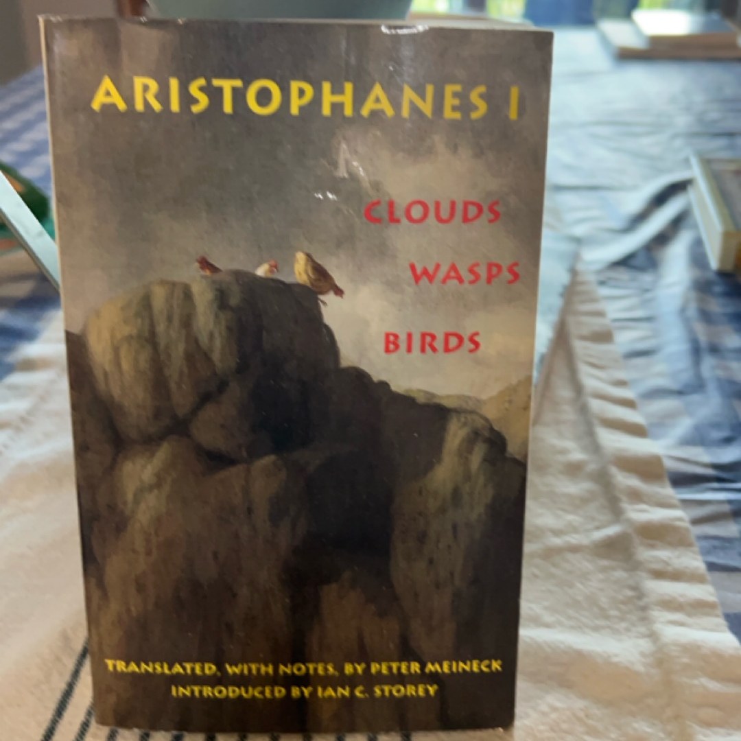Clouds, Wasps, Birds