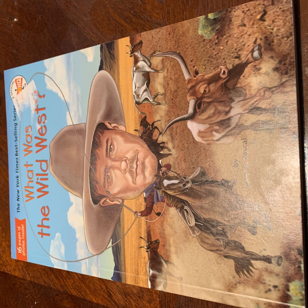 What Was the Wild West?