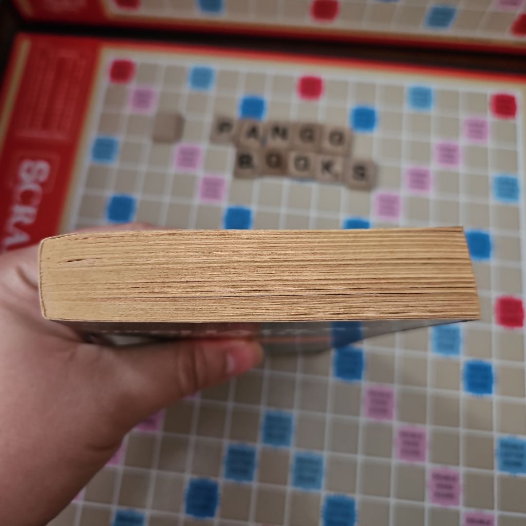 The Shadow of the Ship