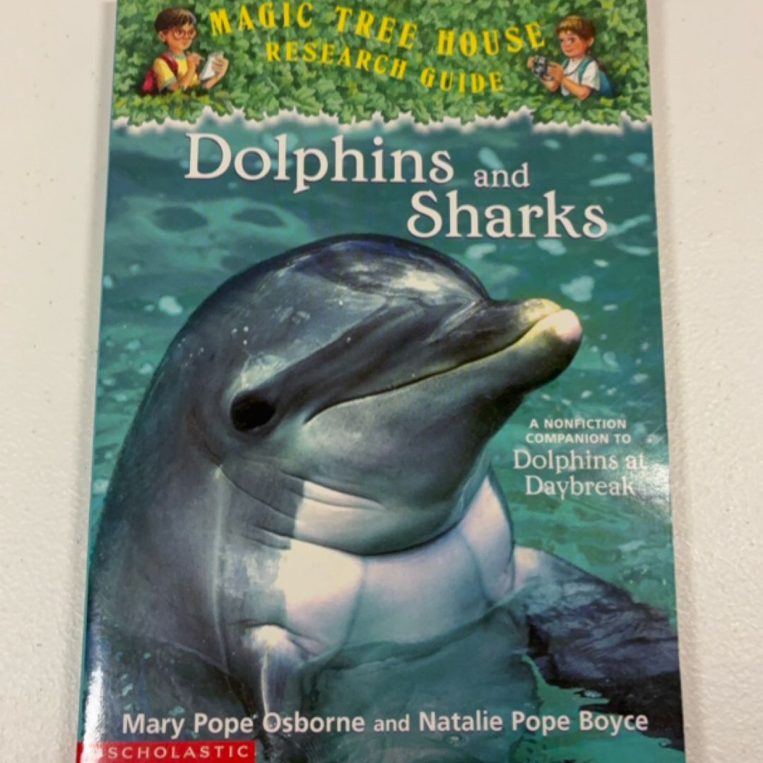 Dolphins and Sharks A Nonfiction Companion to Dolphins at Daybreak