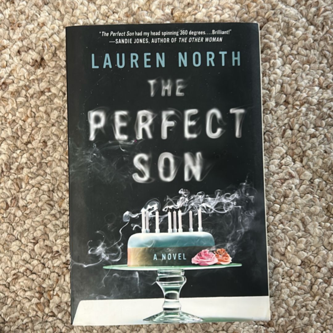 The Perfect Son