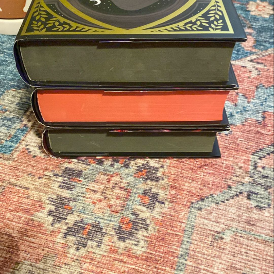 From Blood and Ash Fairyloot Special Editions with 1st book bookish box overlays 