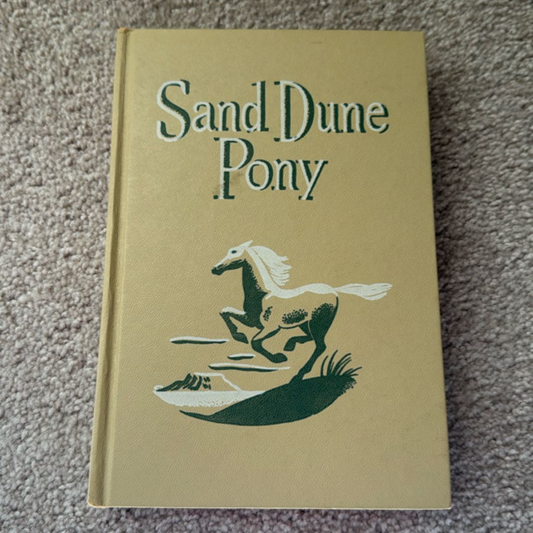 Sand Dune Pony