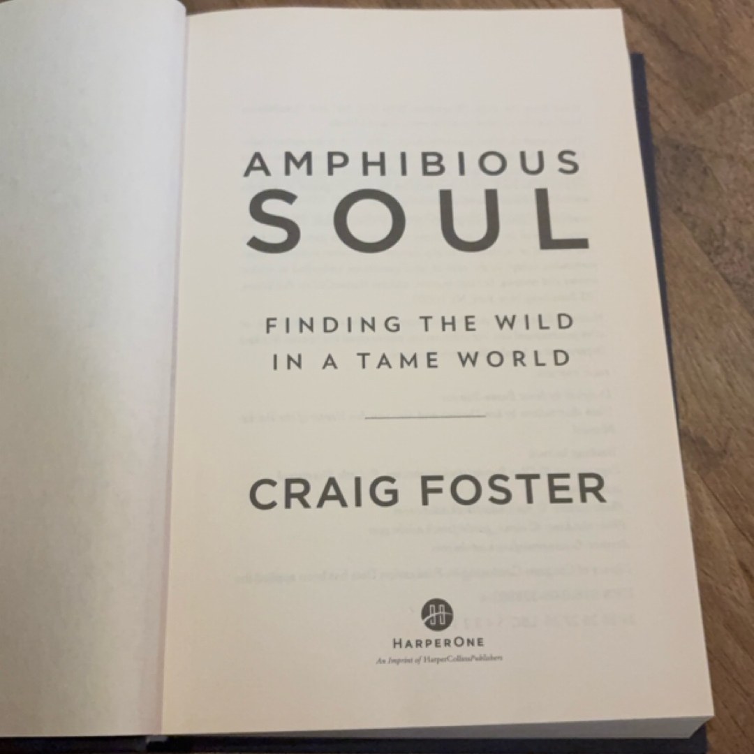 Amphibious Soul