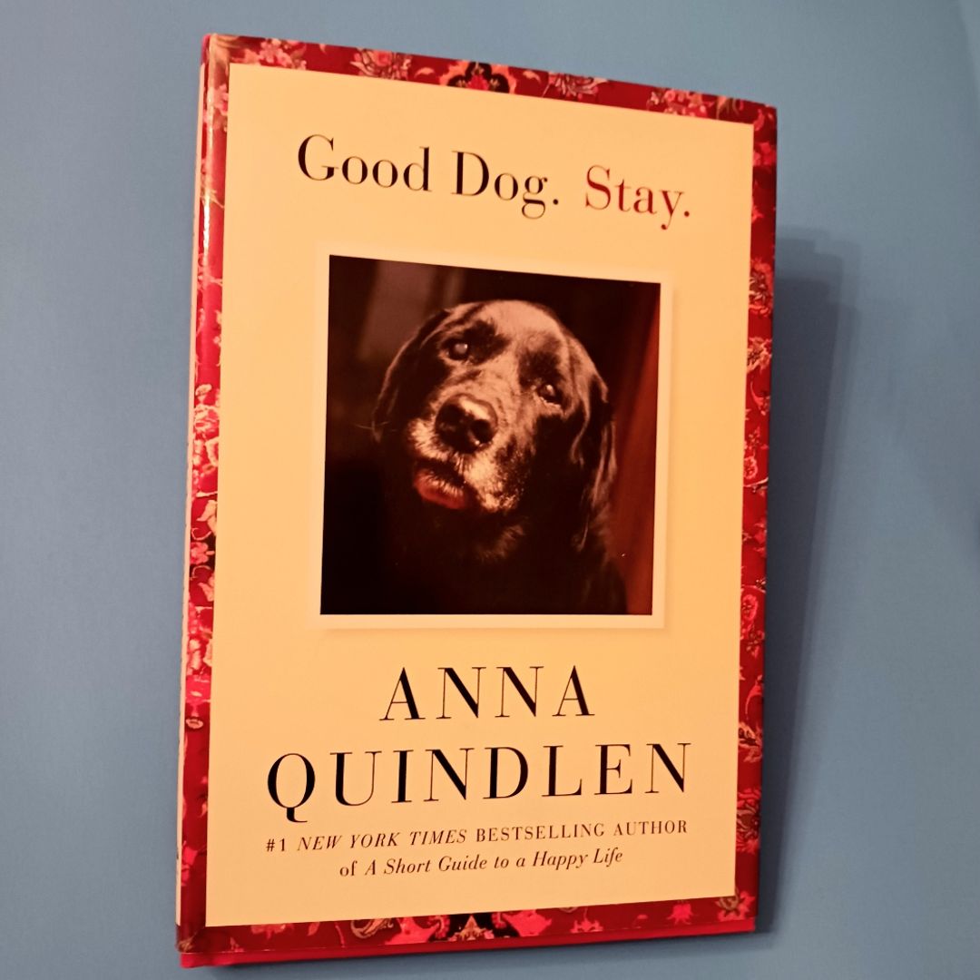 Good Dog. Stay