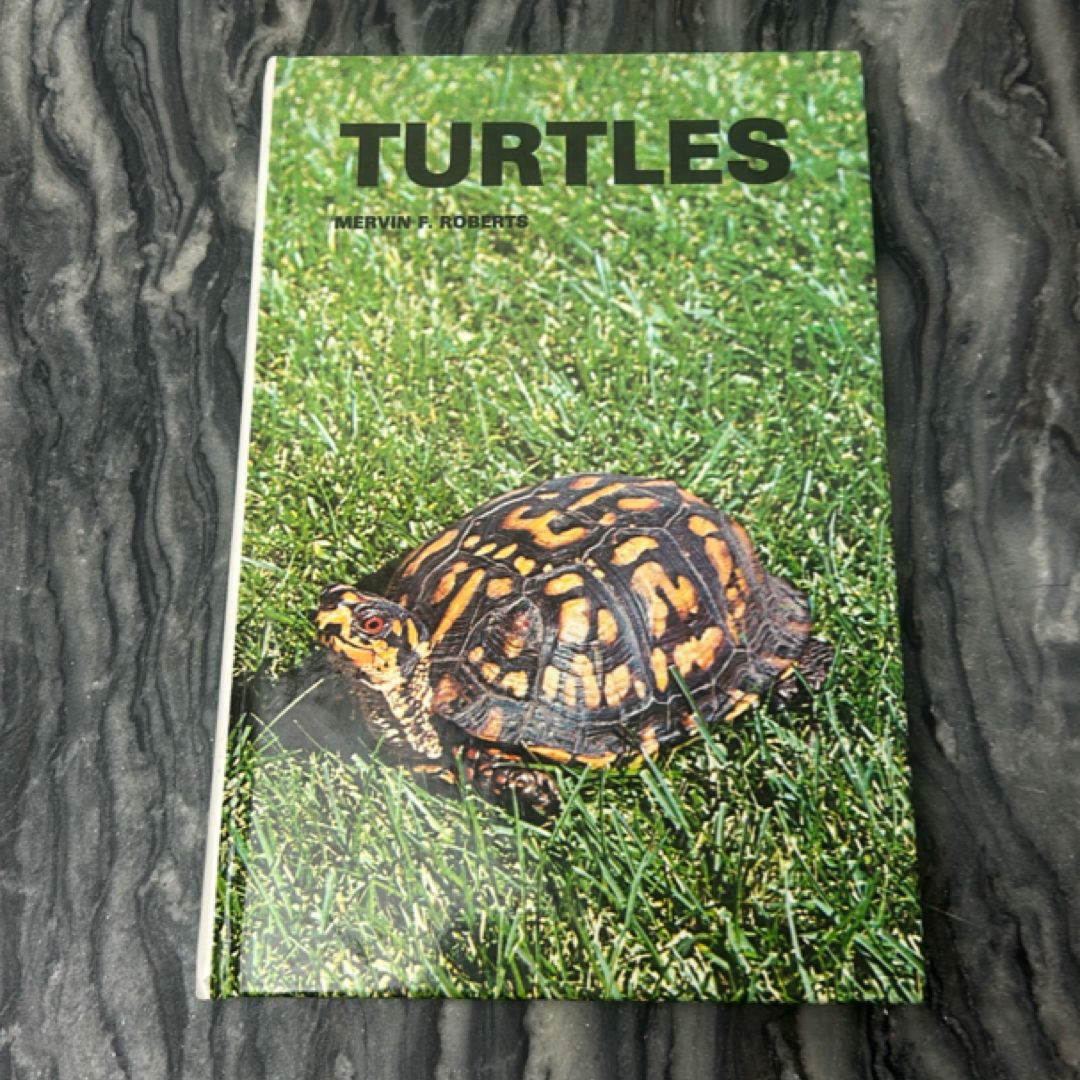 Turtles