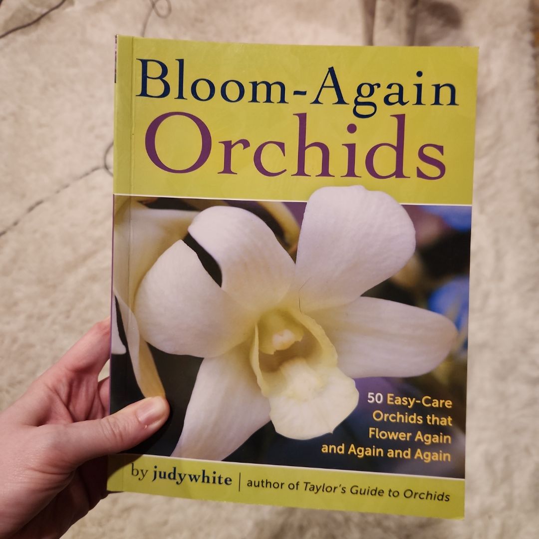 Bloom-Again Orchids
