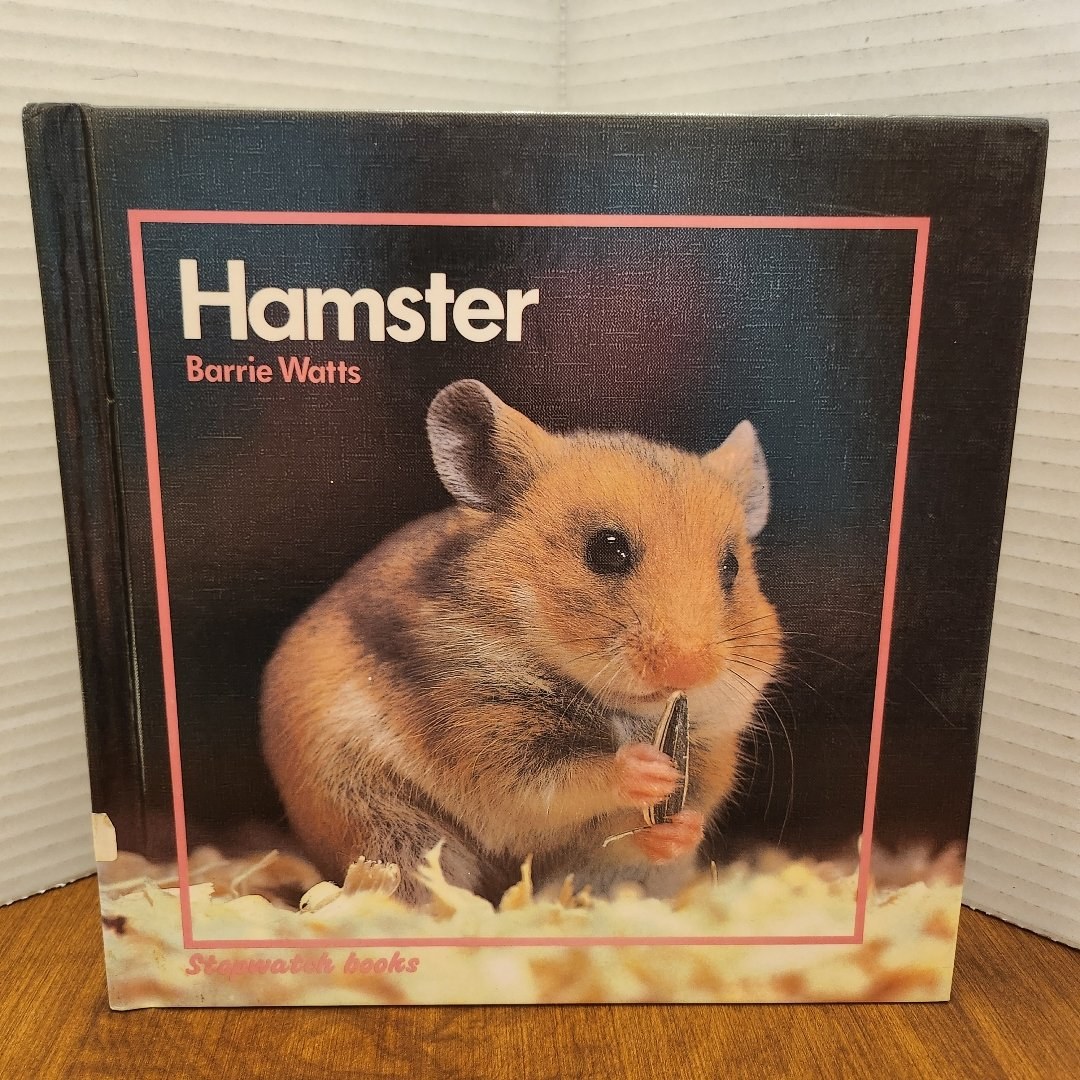 Hamster