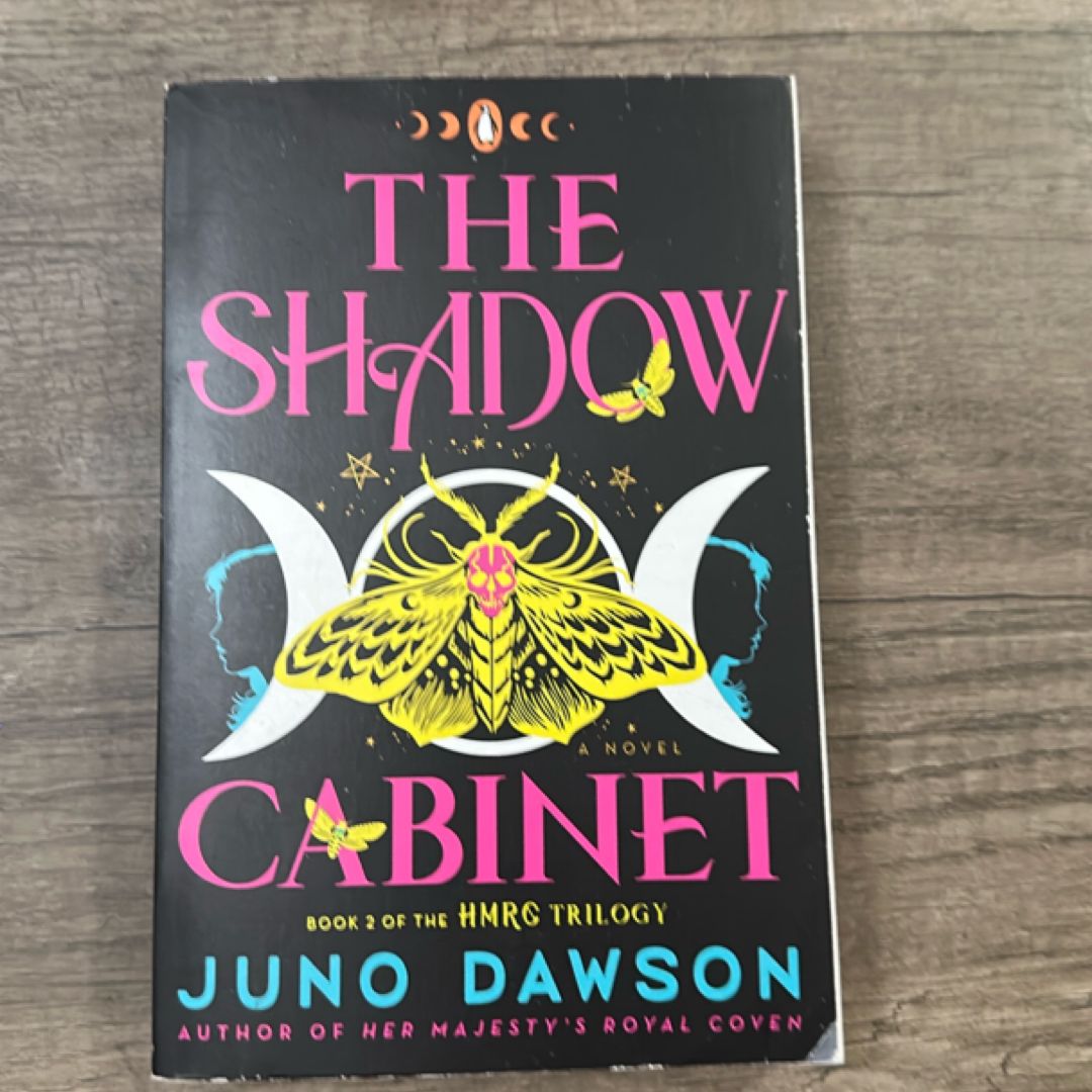 The Shadow Cabinet