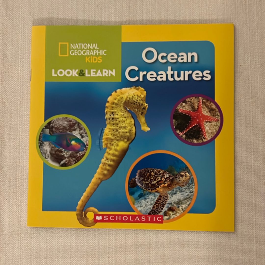 Ocean Creatures