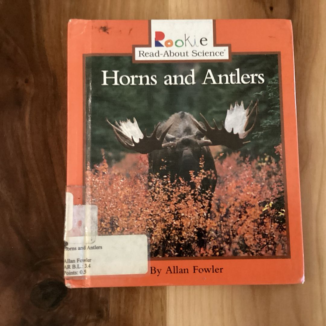Horns and Antlers