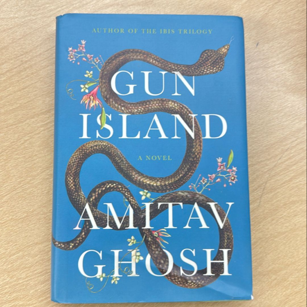 Gun Island