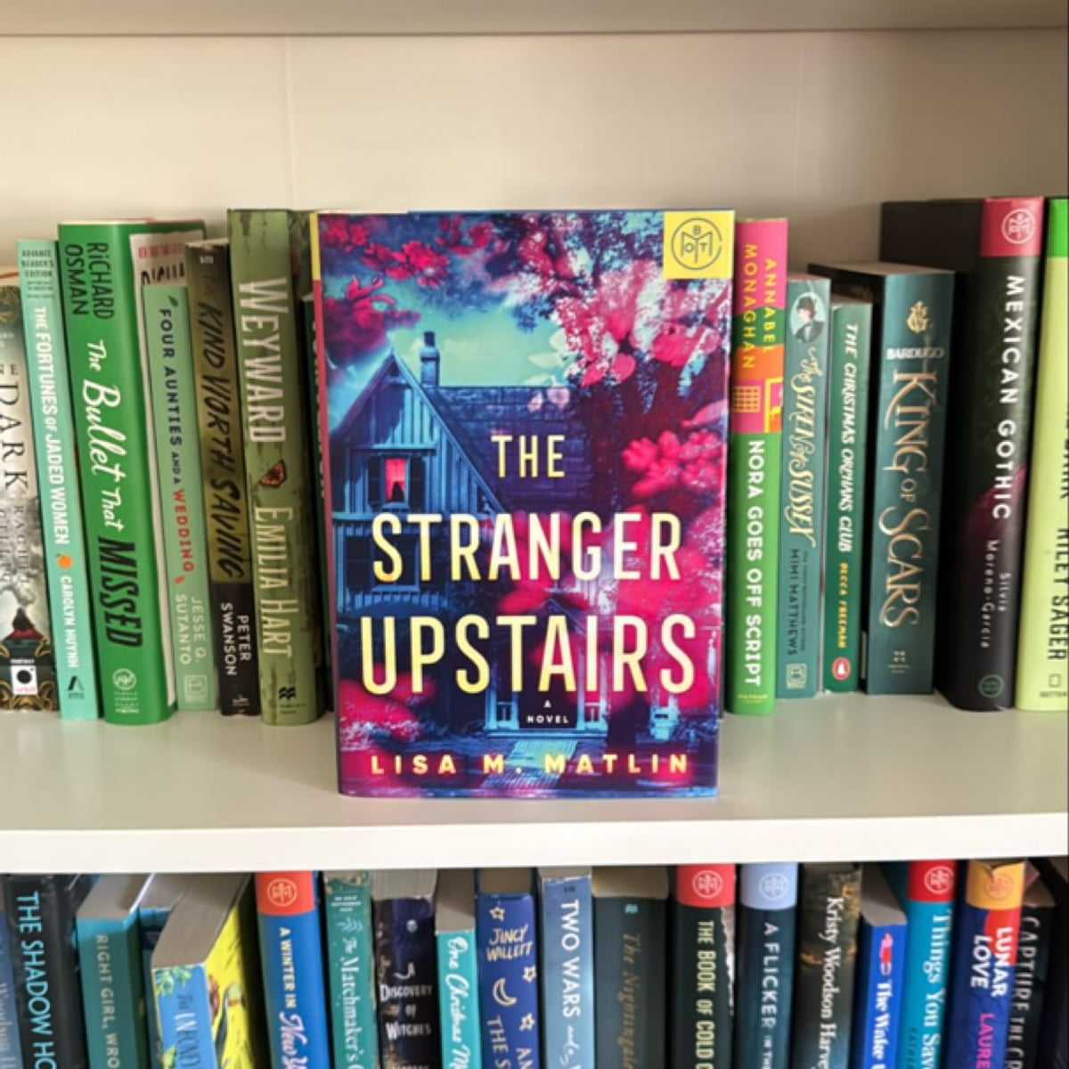 The Stranger Upstairs by Lisa M. Matlin, | PangoBooks