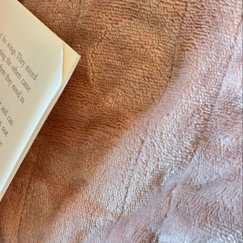 A Treasury of Stories from Hans Christian Andersen