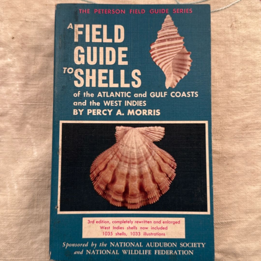 A Field Guide to Shells 